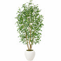Pianta Artificiale con Vaso in Ceramica Bianca, Albero Decorativo Verde 180cm