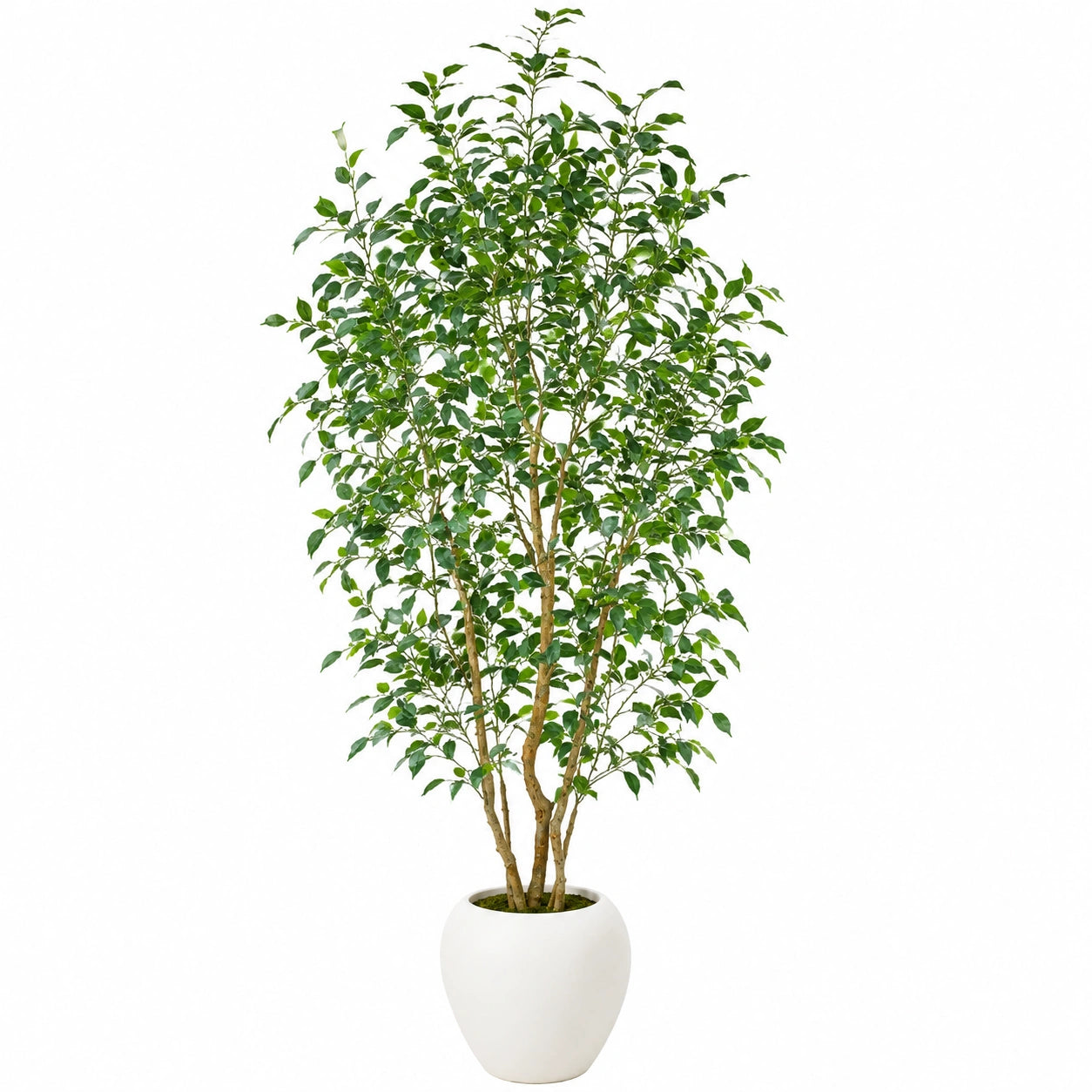 Pianta Artificiale con Vaso in Ceramica Bianca, Albero Decorativo Verde 180cm
