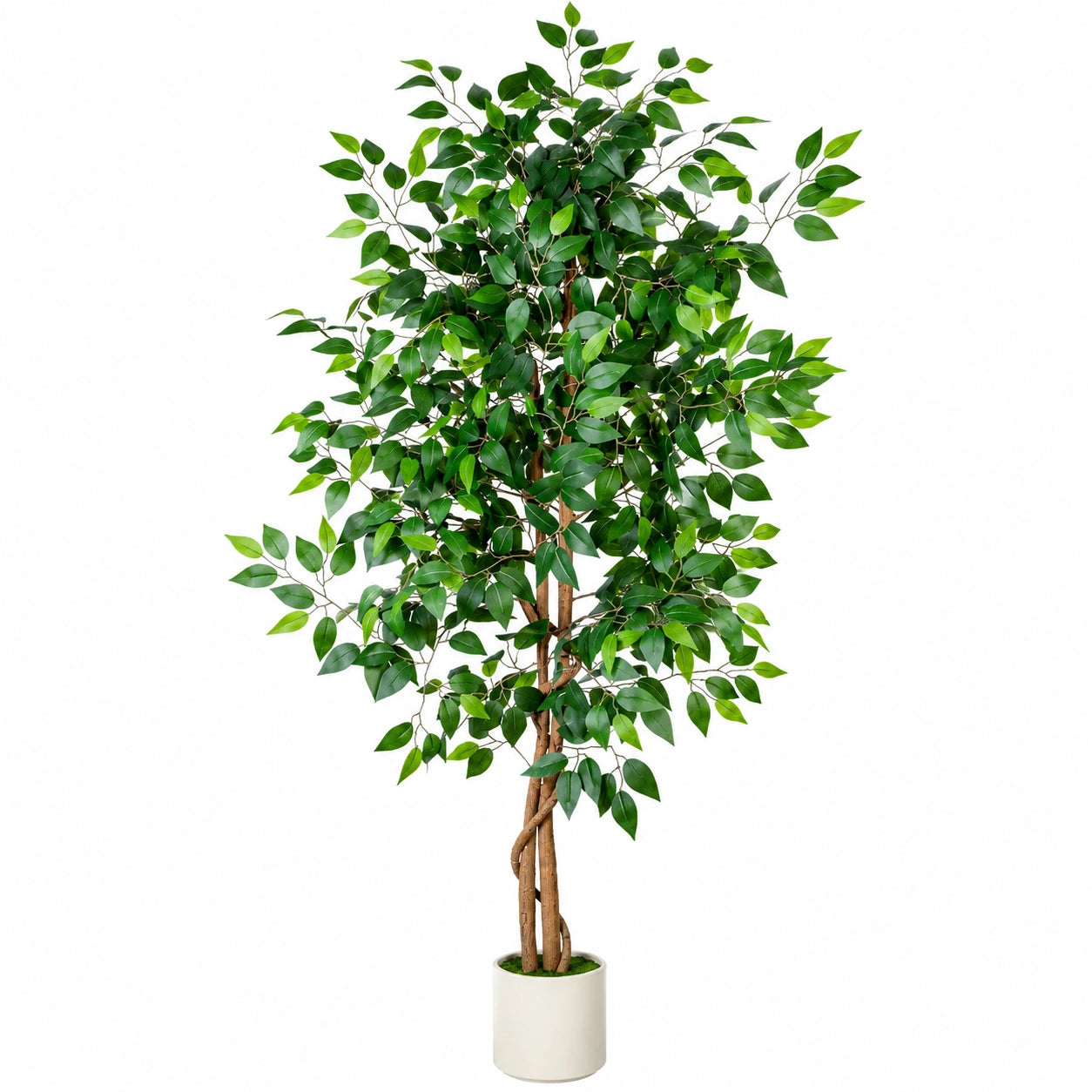 Ficus Artificiale 180 cm Verde con Vaso