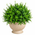 Pianta Artificiale con Vaso Beige, Verde per Interni