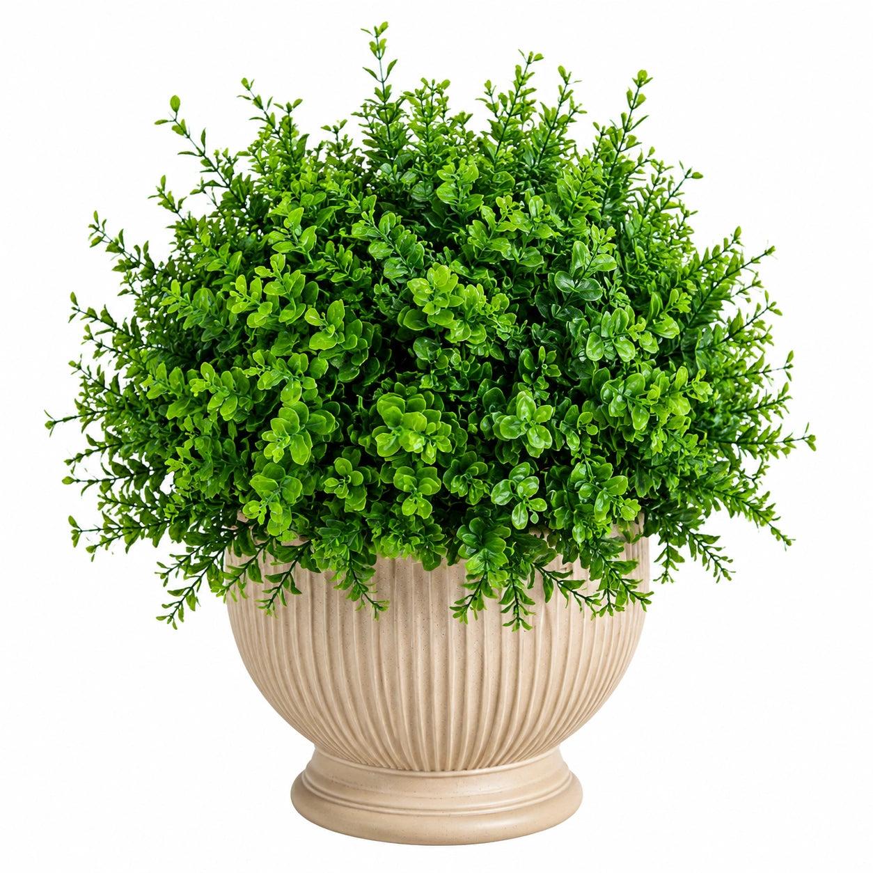 Pianta Artificiale con Vaso Beige, Verde per Interni